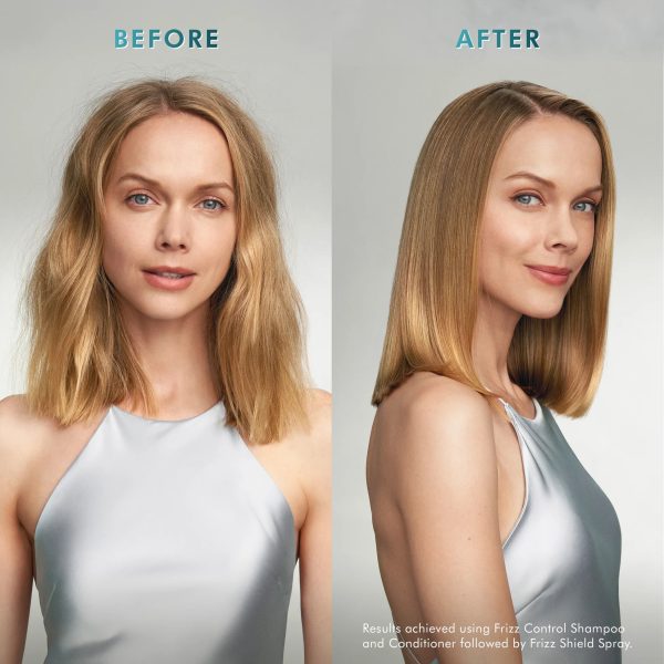 champu anti encrespamiento profesional frizz control morrocanoil (3)